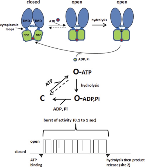 FIGURE 2.