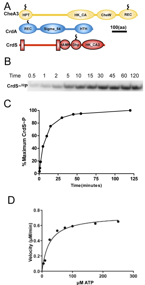 FIG 3 