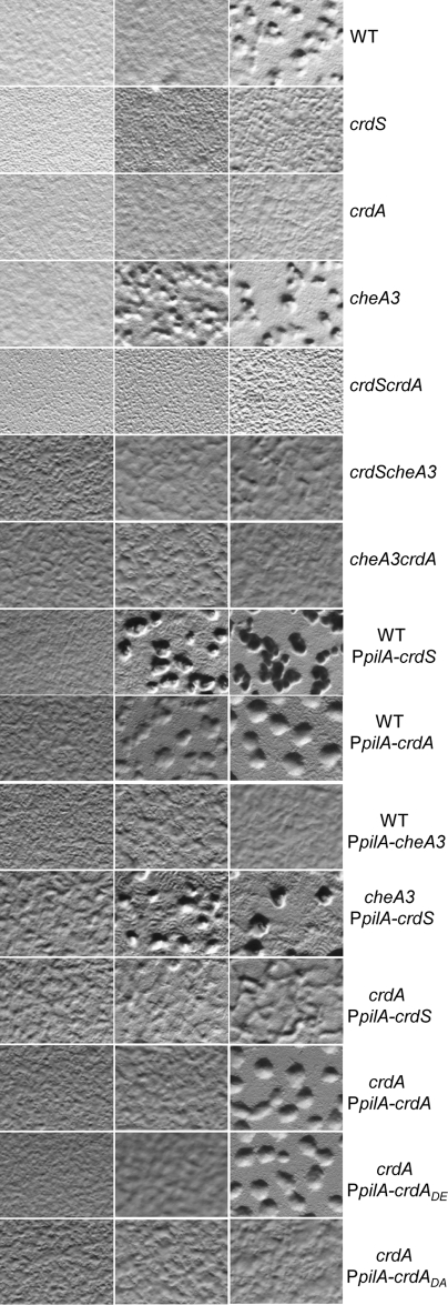 FIG 2 