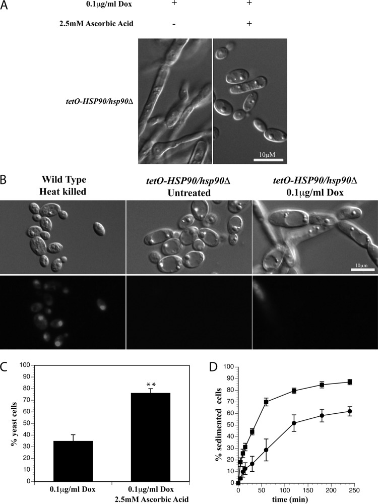 FIG 2