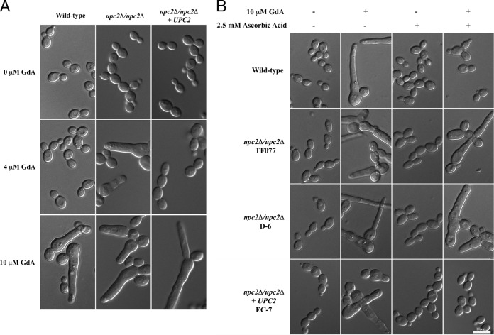 FIG 4