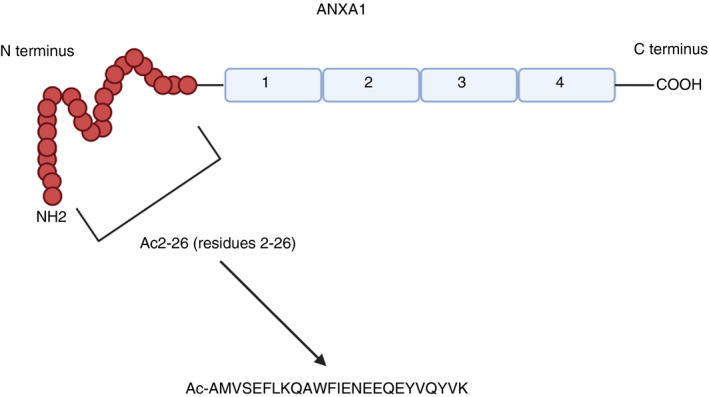 FIGURE 3