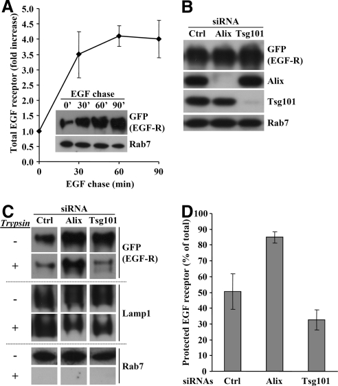 Figure 10.