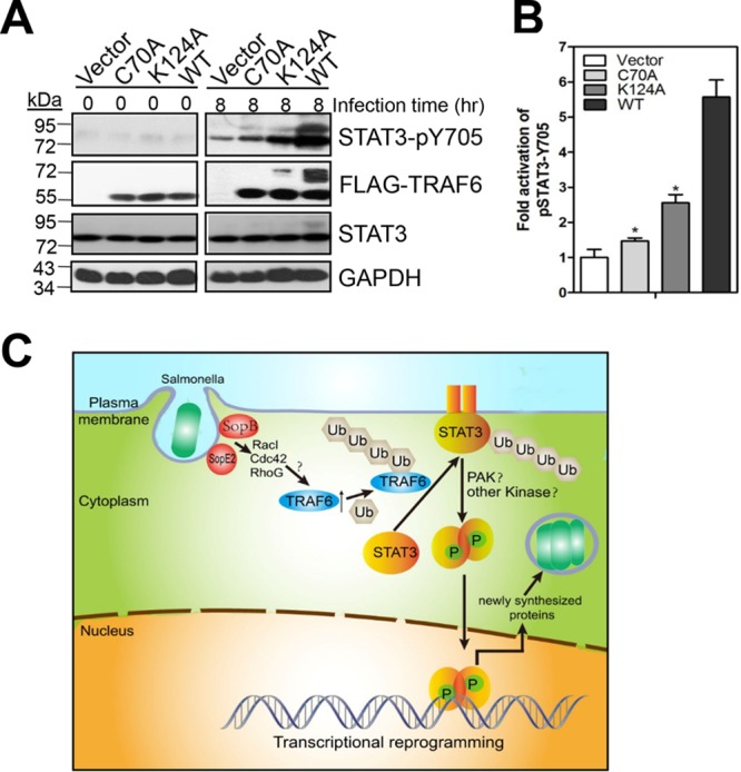 FIG 6