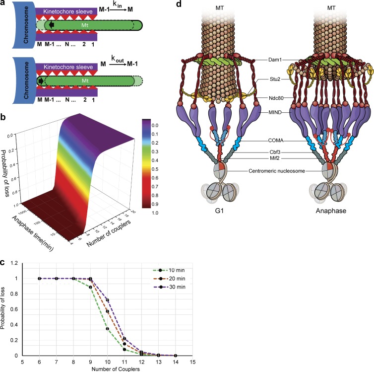 Figure 10.