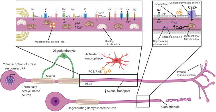 FIGURE 3