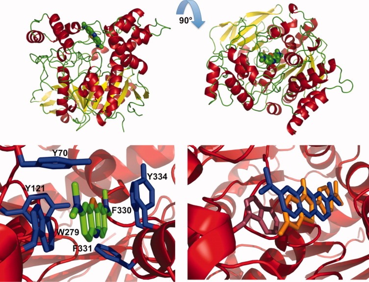 Figure 13