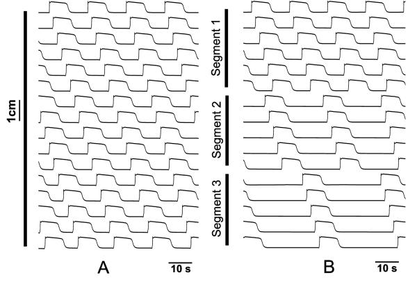 Fig. 5