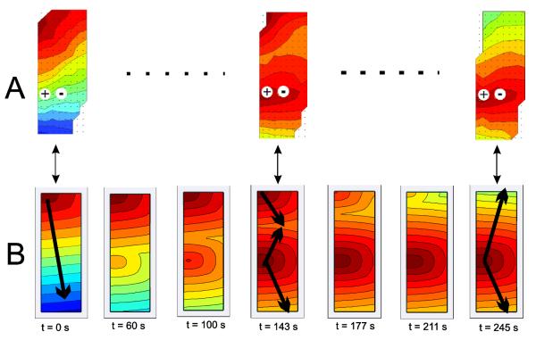 Fig. 7