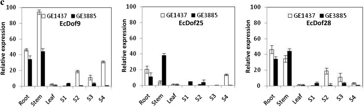 Fig. 3