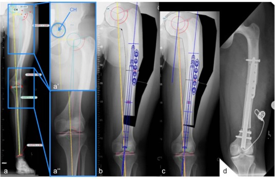 Fig. 3