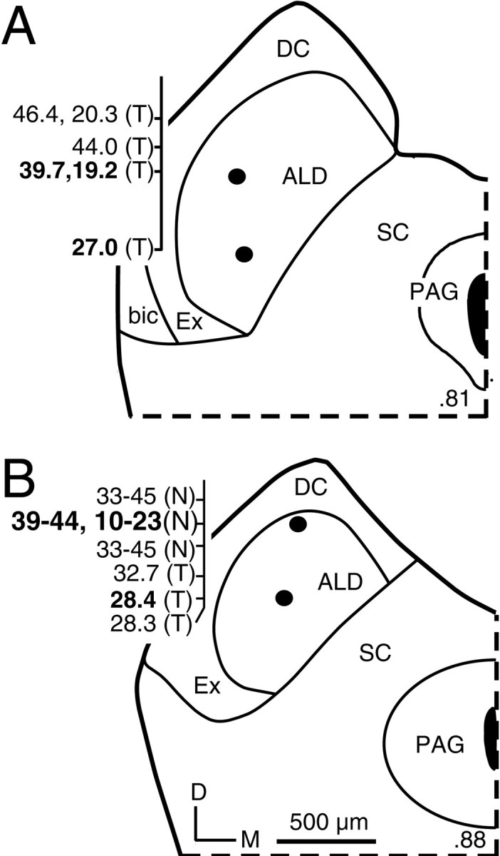 Fig. 8.