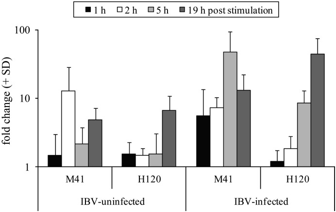 Fig. 7