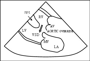 [Table/Fig-2b]: