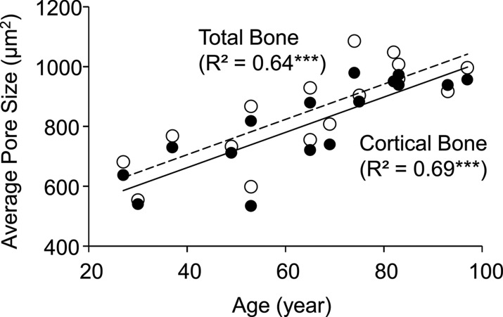 Figure 6b: