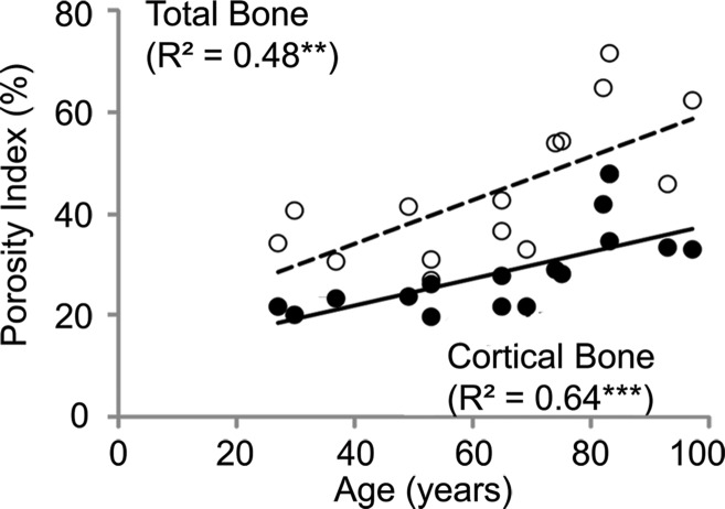 Figure 3b: