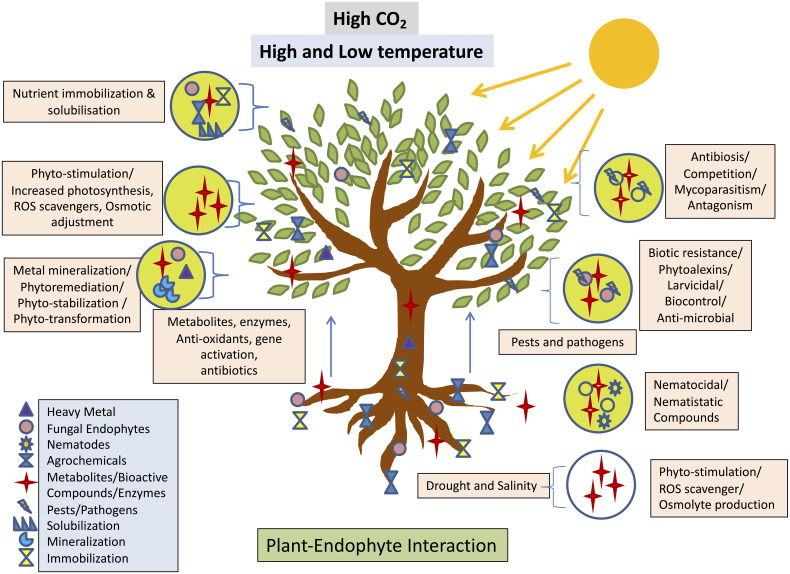 Figure 4
