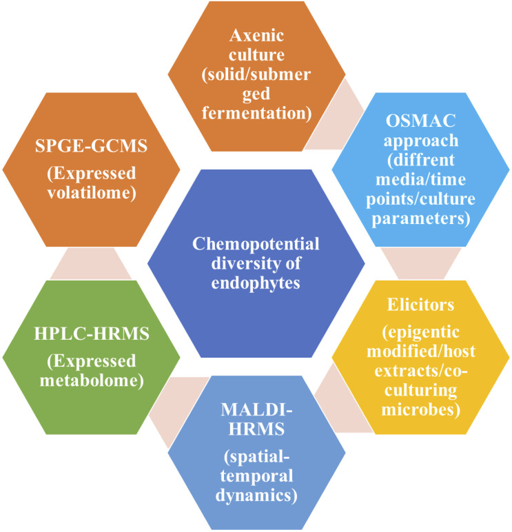 Figure 2