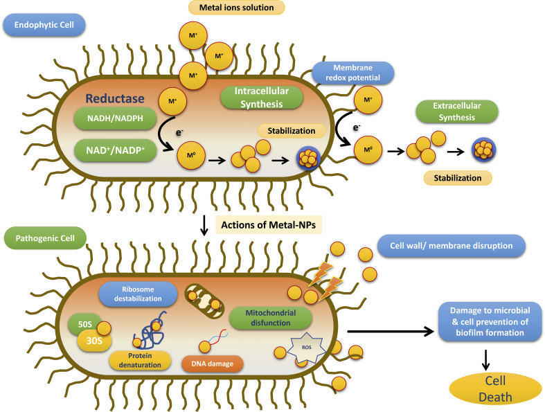 Figure 6