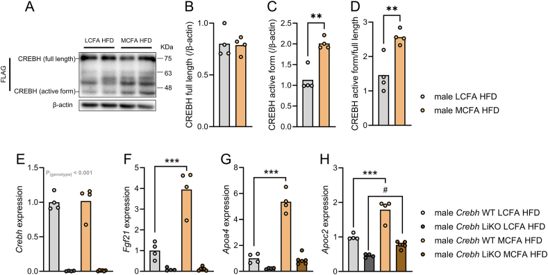 Figure 3