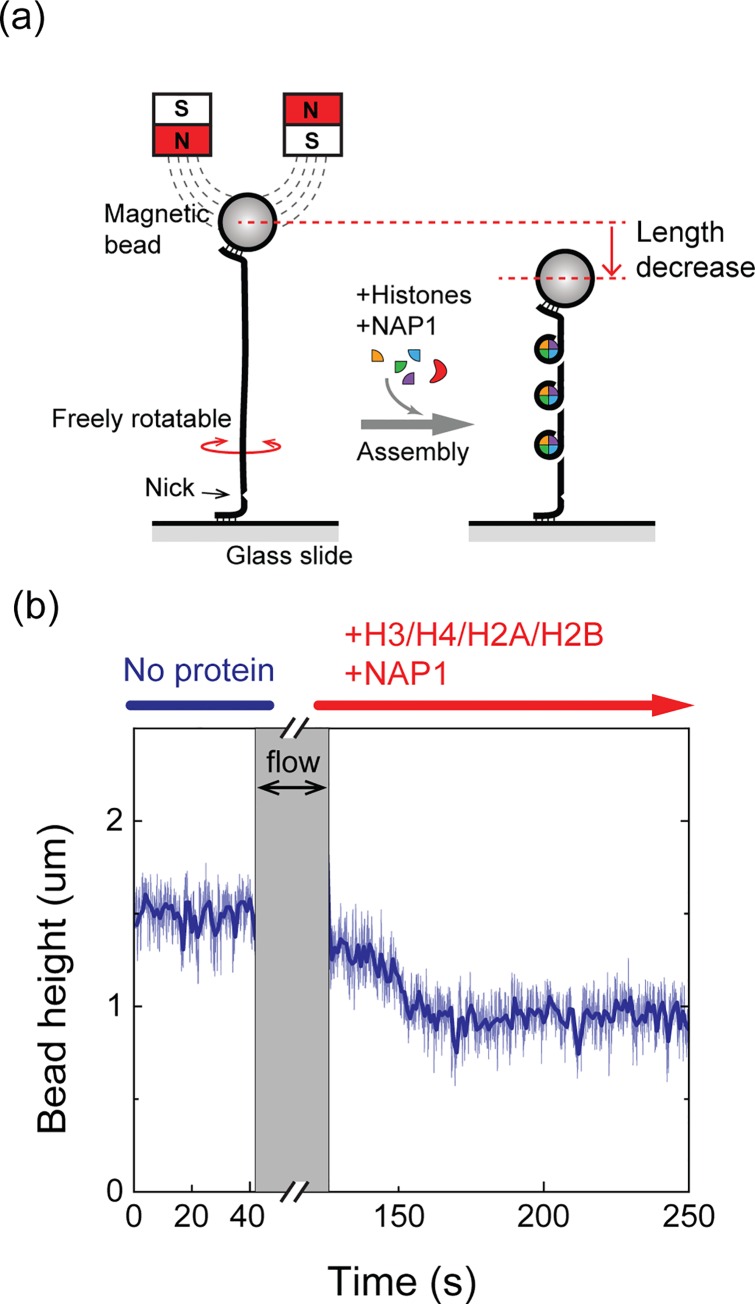 Fig 1