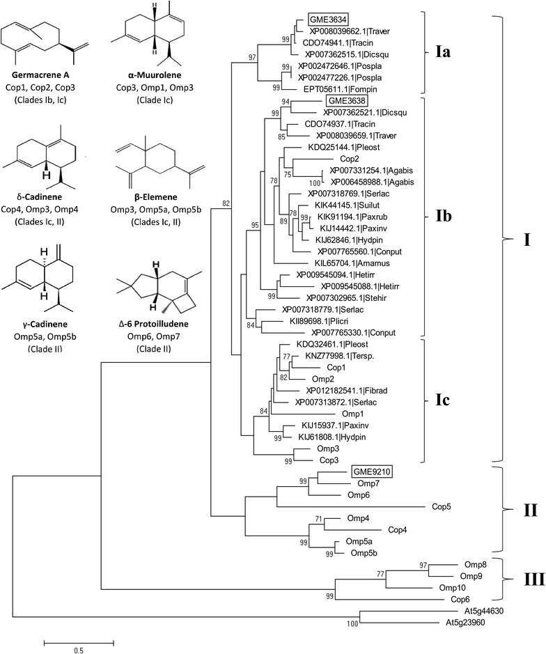 Fig. 3