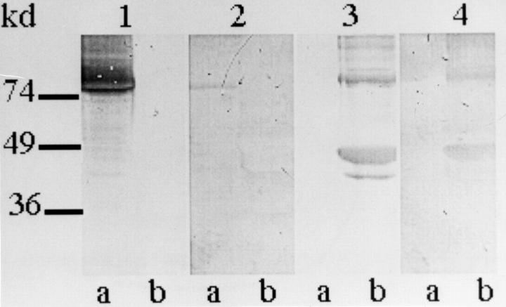 Figure 2  