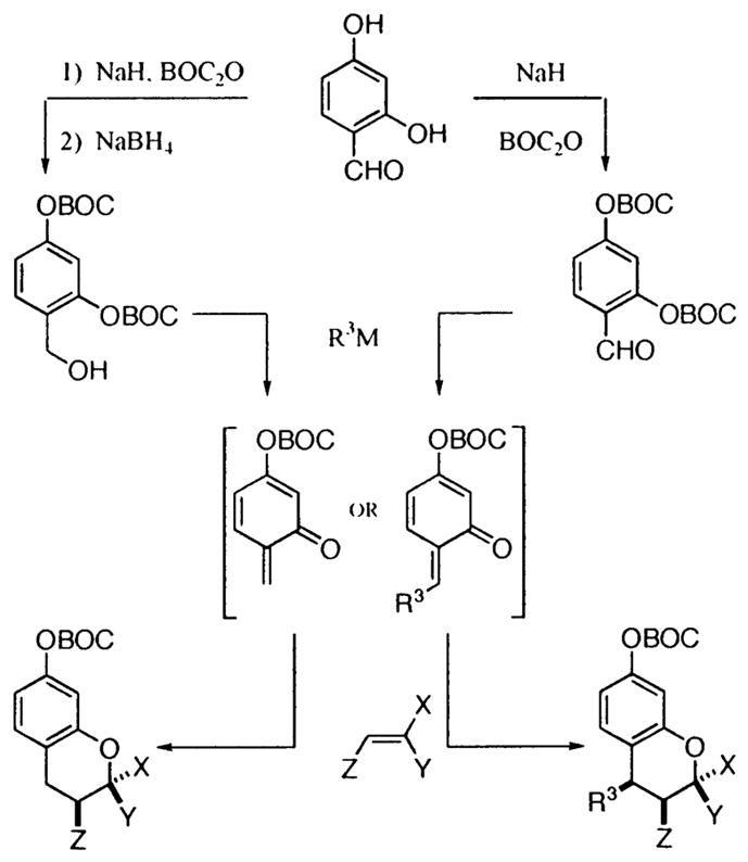 Scheme 1