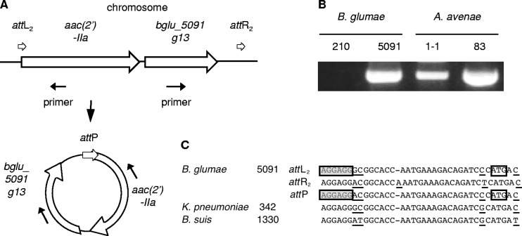 Fig 5