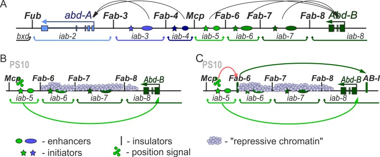 Fig 1