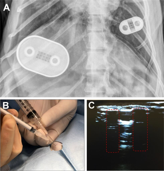 Figure 6.