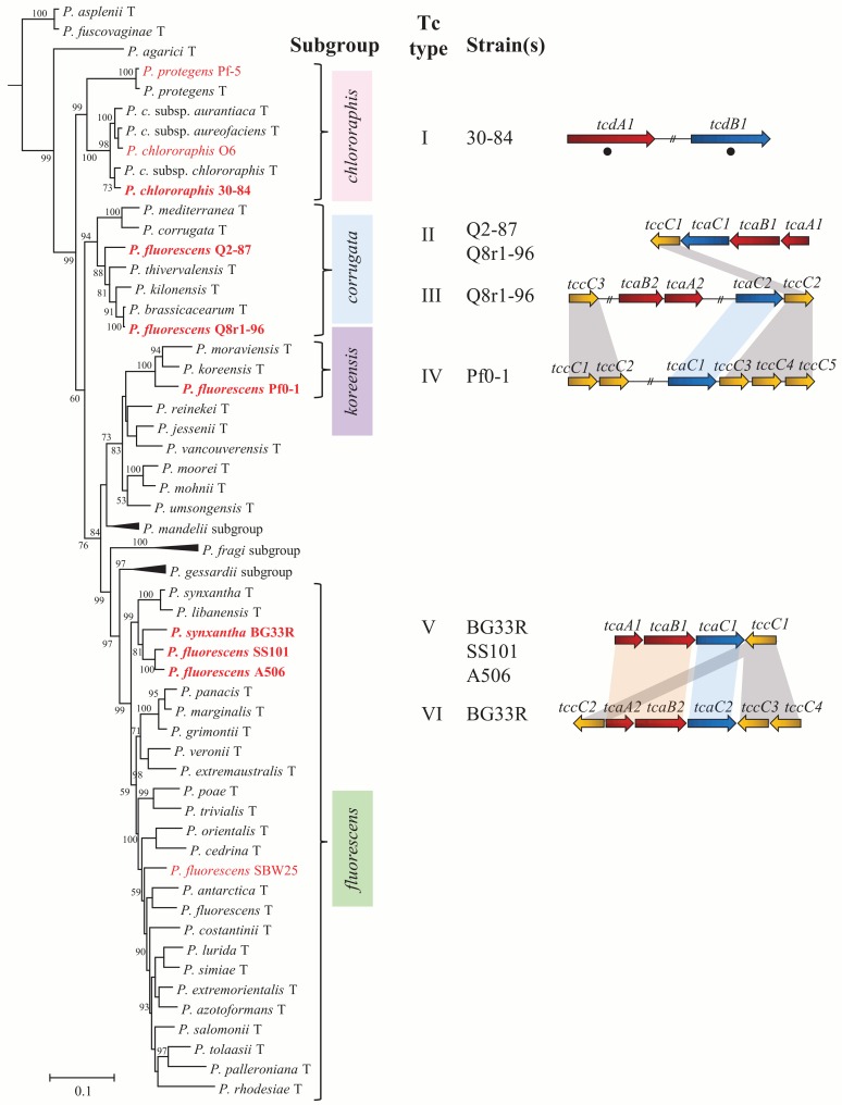 Fig 2