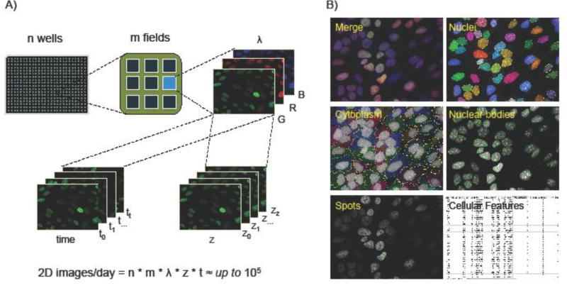 Fig. 2