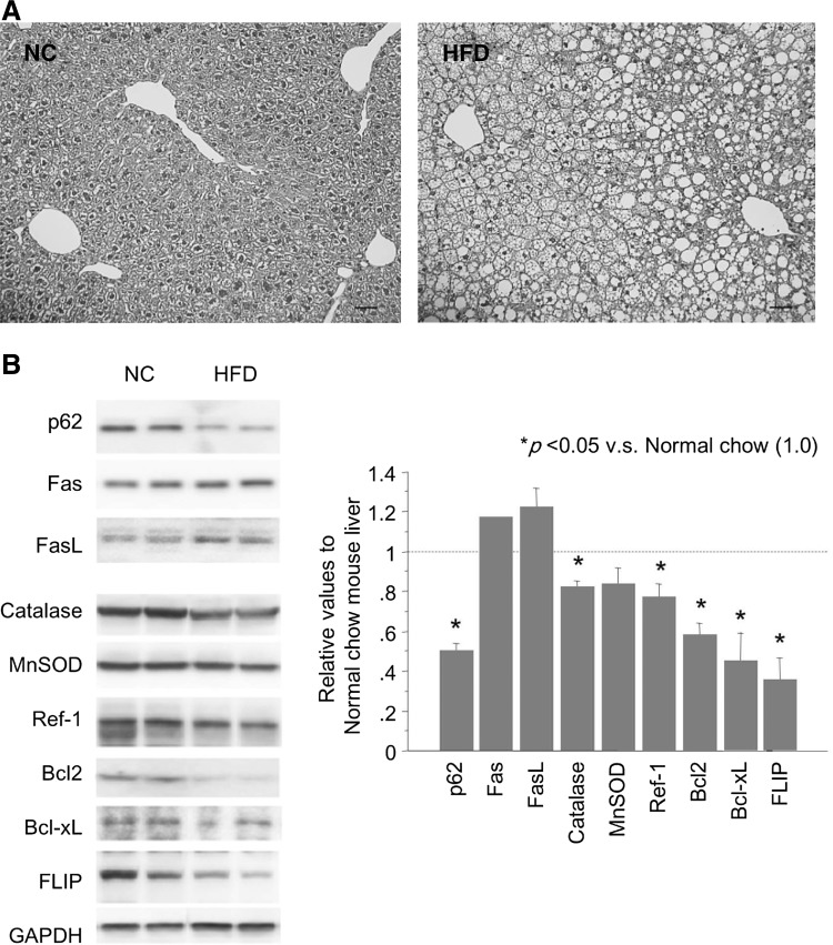 FIG. 8.