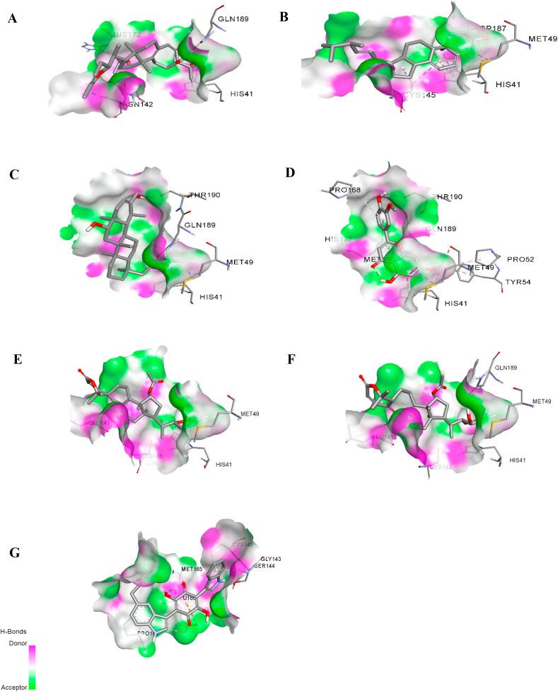 Fig. 3