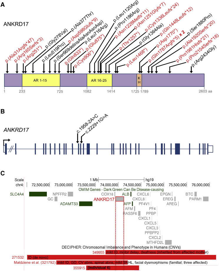 Figure 1