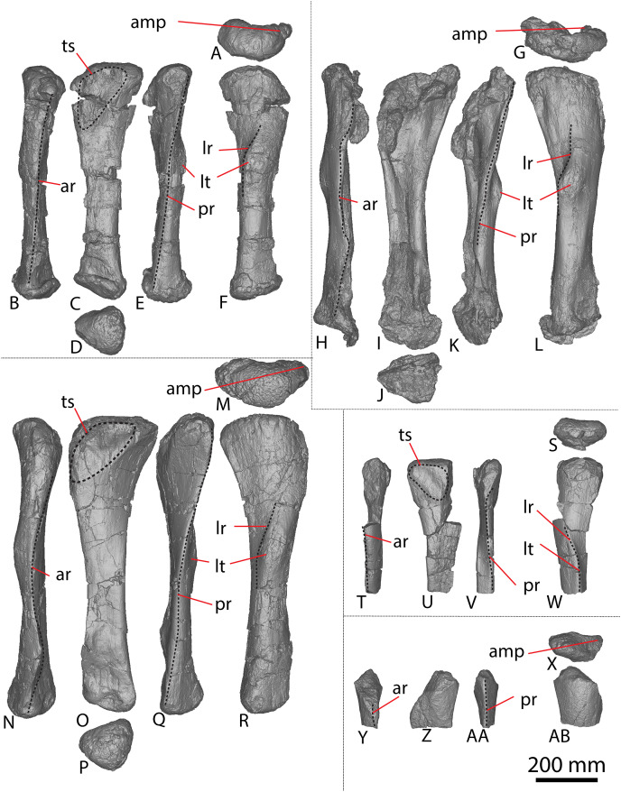 Figure 12