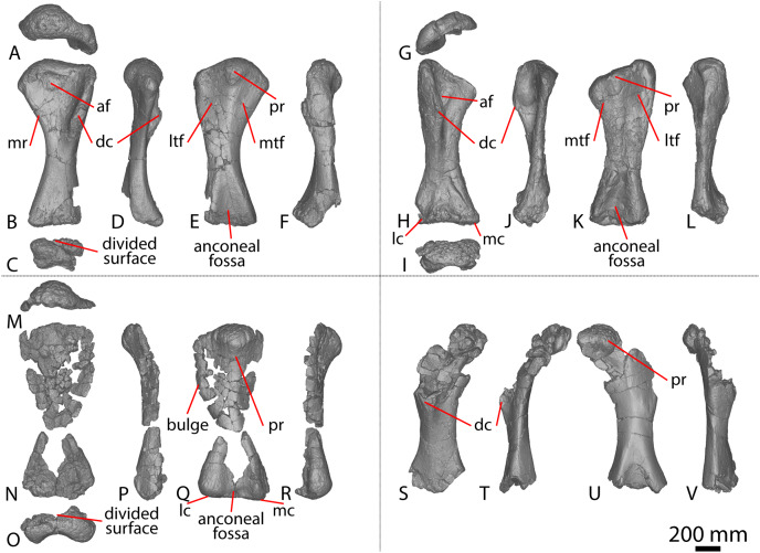 Figure 20