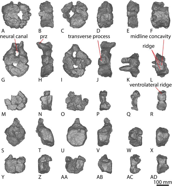 Figure 18