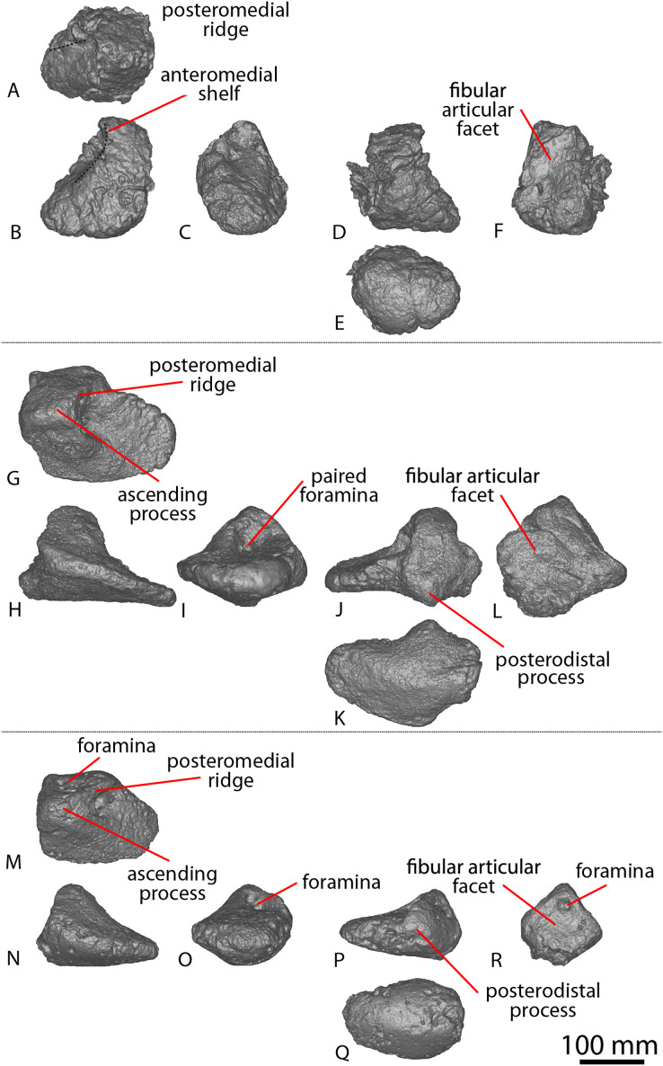 Figure 16