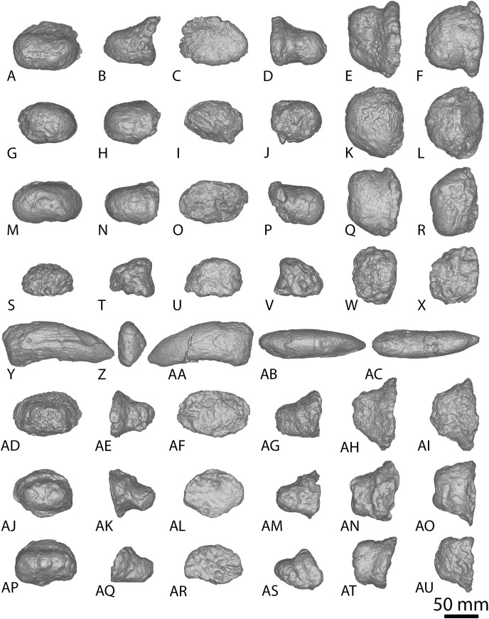 Figure 5