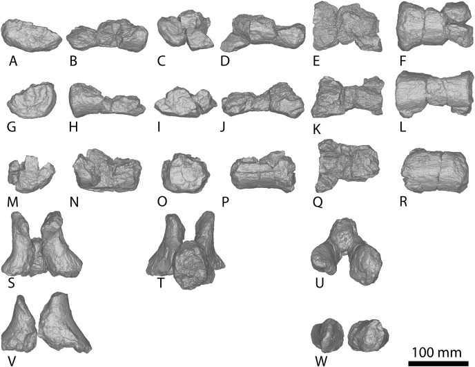 Figure 19