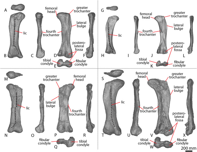 Figure 15