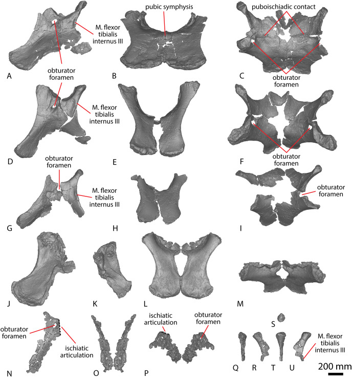 Figure 14