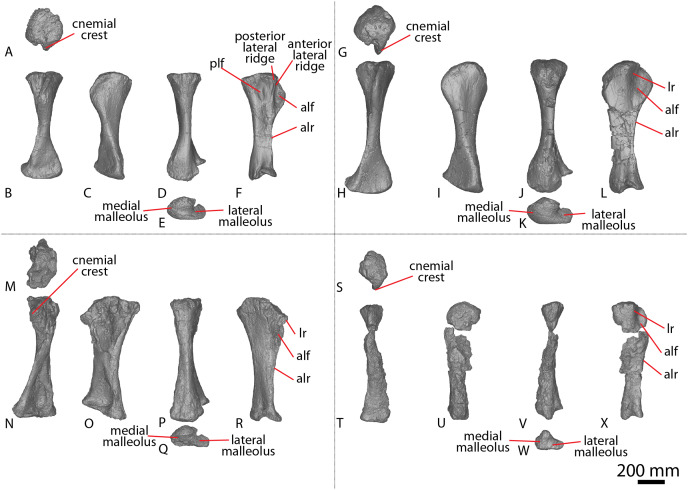 Figure 13