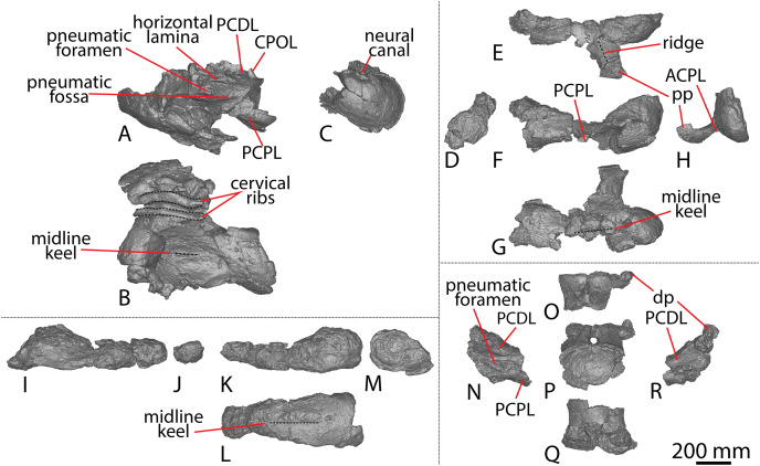 Figure 17