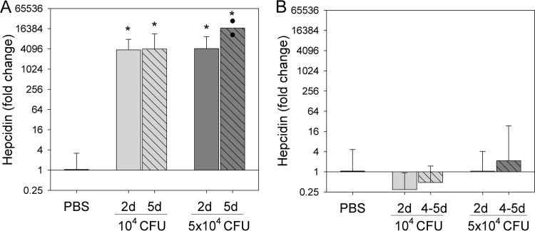 FIG 1