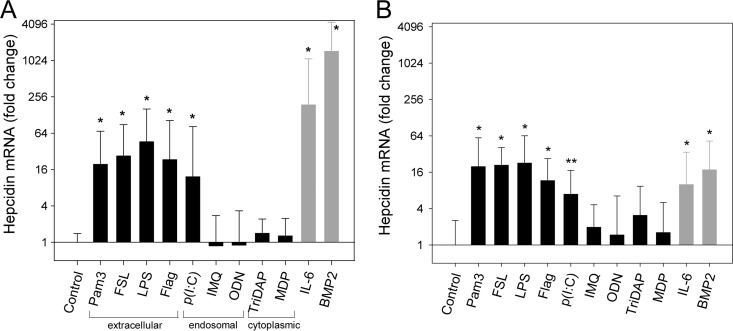 FIG 4