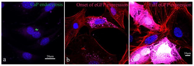 Fig. 9