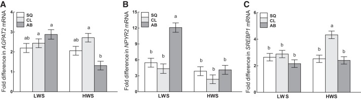 Fig. 12.